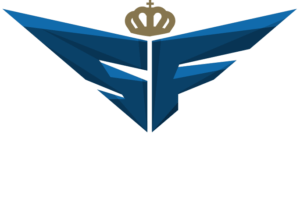 logo  300x199 - Samolot