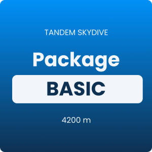 TANDEM 4200 BASIC JUMP